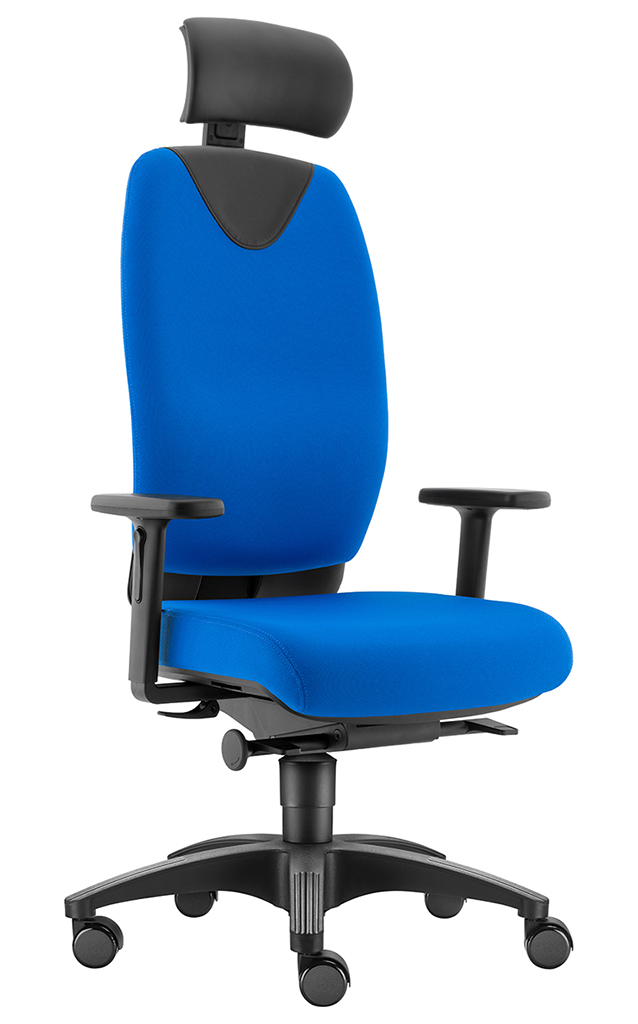 Evo L mit Kopfstütze